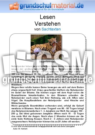 Nebelparder - Sachtext.pdf